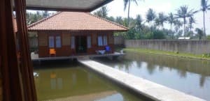 Harga Sewa Villa Amerta Cipanas 2 Kamar