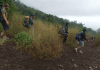Pesona Garut Gunung Guntur
