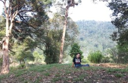 Objek Wisata Kawah Kamojang
