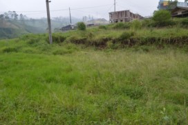 Jual Tanah di Darajat Garut