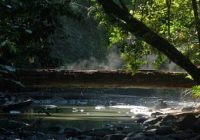 Mengeksplore Leuweung Sancang Garut Selatan