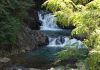 Curug Rahong
