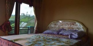 Puncak Jaya Darajat Kamar Guntur